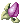 Mastela Fruit