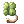 Four Leaf Clover