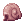 Snail's Shell