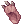 Bear's Footskin